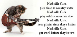 nashvillecat